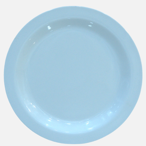 Melamine Thali Plate (Blue)