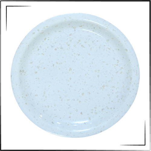 Melamine Thali
